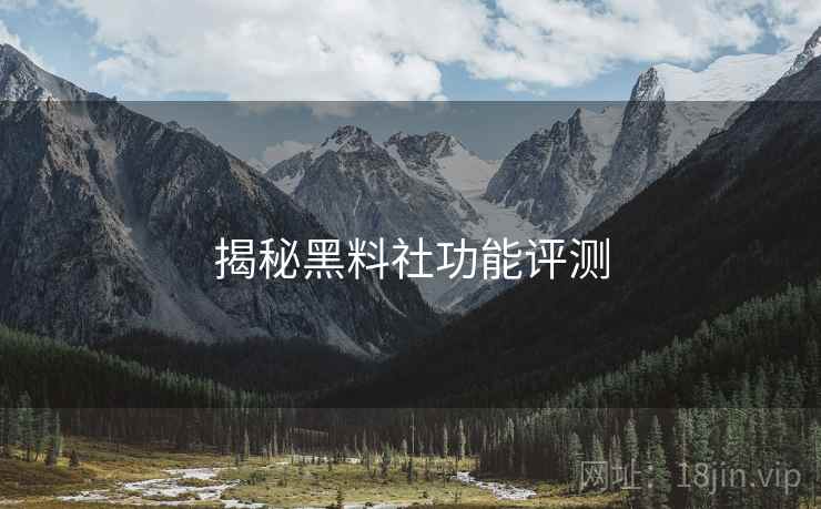 揭秘黑料社功能评测