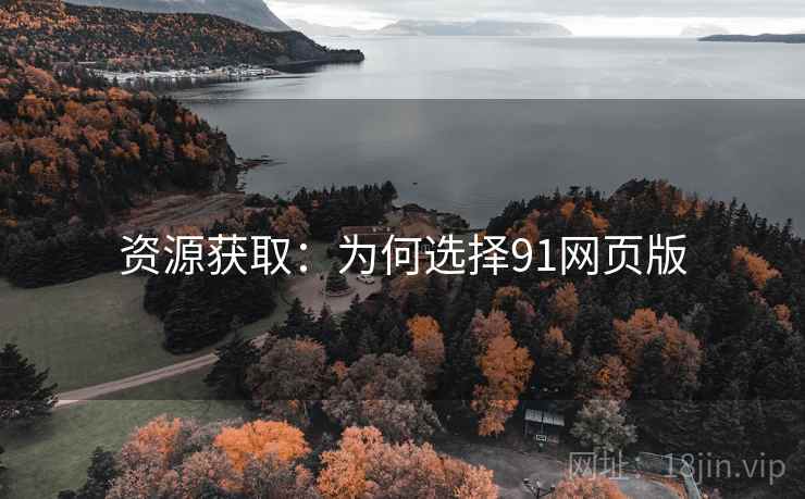 资源获取：为何选择91网页版