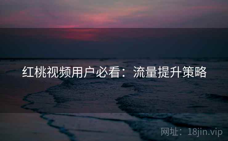 红桃视频用户必看：流量提升策略