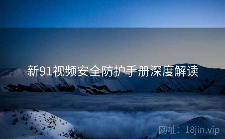 新91视频安全防护手册深度解读