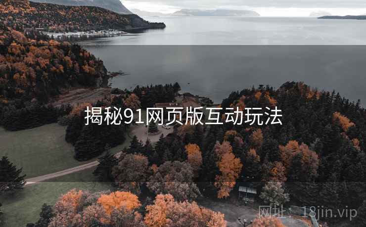 揭秘91网页版互动玩法