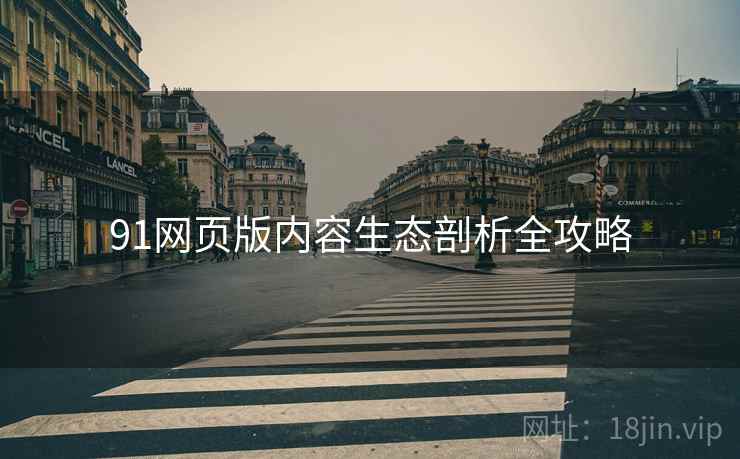 91网页版内容生态剖析全攻略