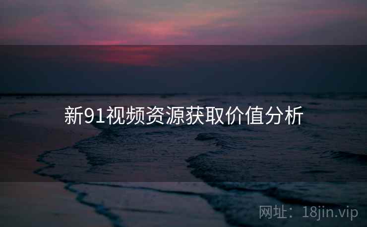 新91视频资源获取价值分析