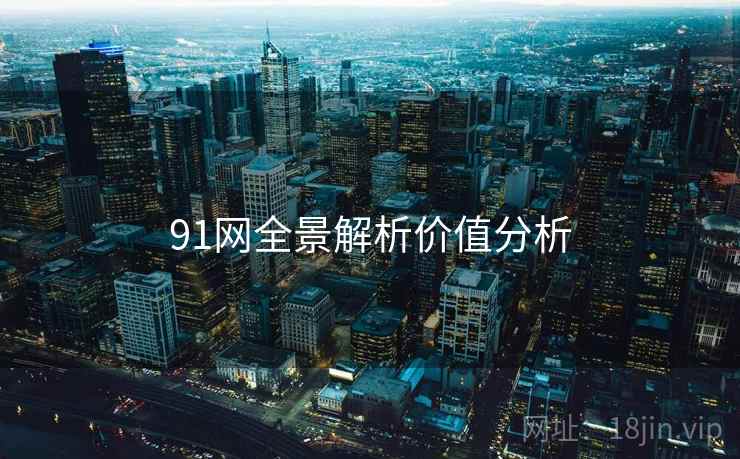 91网全景解析价值分析