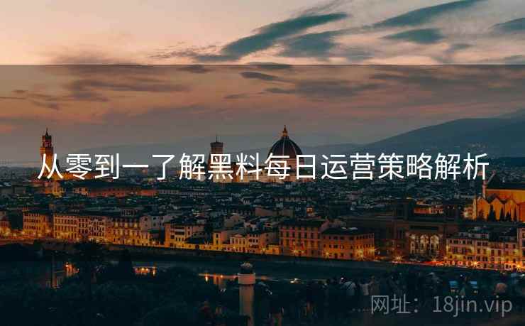 从零到一了解黑料每日运营策略解析