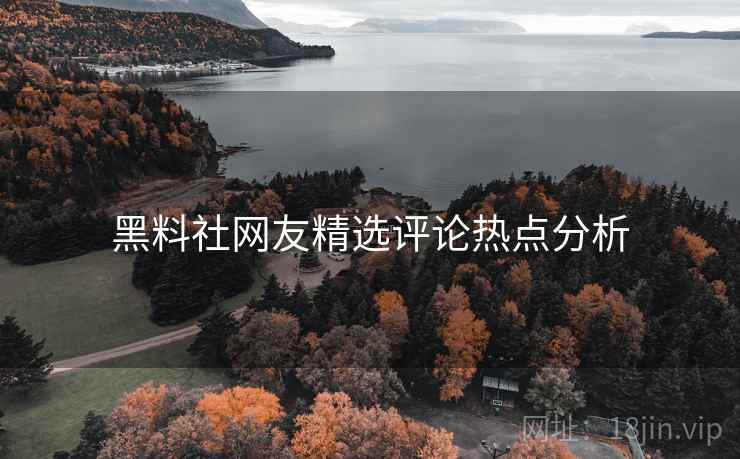 黑料社网友精选评论热点分析