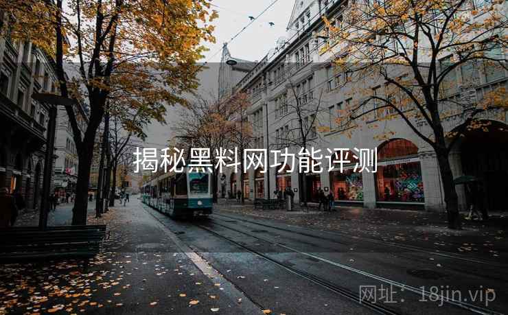 揭秘黑料网功能评测