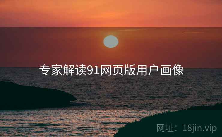 专家解读91网页版用户画像
