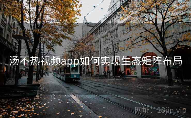 汤不热视频app如何实现生态矩阵布局